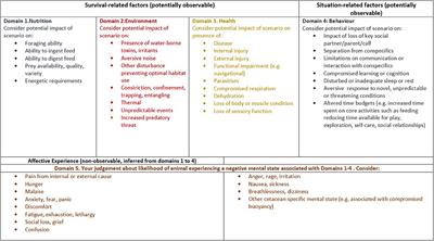 Anthropogenic Threats to Wild Cetacean Welfare and a Tool to Inform Policy in This Area